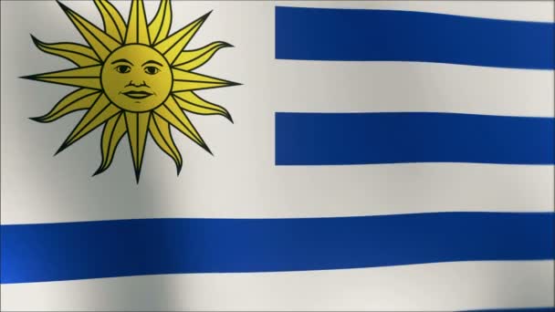 Drapeau URUGUAY plissé au ralenti avec rides et coutures visibles — Video