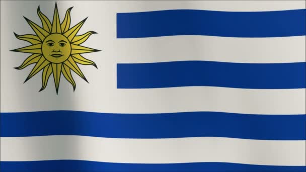 Складки флага Уругвай в замедленной съемке с видимыми морщинами и швами — стоковое видео