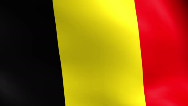 Buruşuk dokulu Belçika bayrağı yavaş görünür kırışıklık ve dikişleri ile — Stok video
