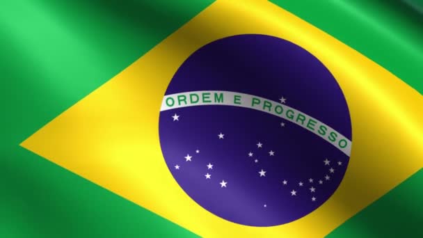 スローモーションで手を振っているブラジルの旗 — ストック動画