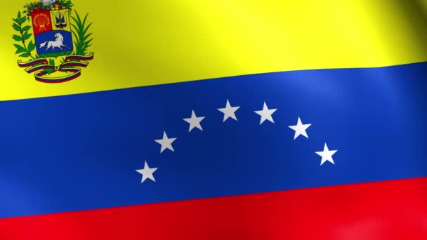 Getextureerde Venezuela Satijn katoen vlag met rimpels en naden — Stockvideo