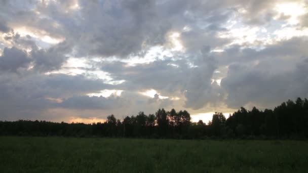 Dawn in een veld met gras — Stockvideo