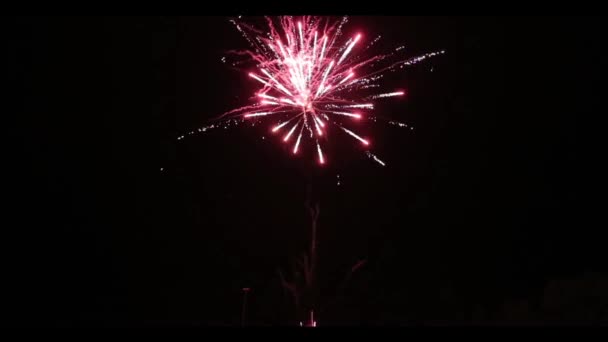 Schönes Feuerwerk — Stockvideo