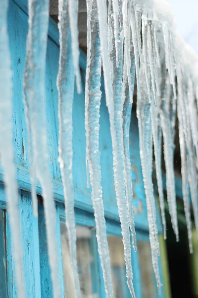 Çatıdan sarkan uzun şeffaf buz saçakları eski mavi bir pencereye karşı. Bahar manzarası.