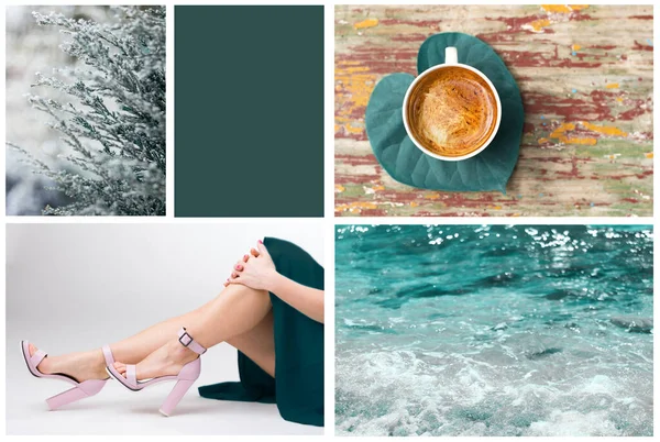 Kolaj seti 2021 'de Shutterstock tarafından Tidewater yeşili rengine boyandı. Renk çizimi için yaratıcı tasarım.