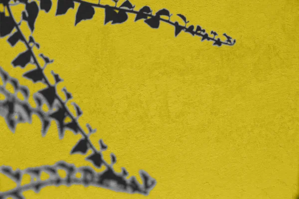 2021 yılının modaya uygun renklerini gösteren yaratıcı tasarım - Aydınlatıcı ve Ultimate Gray. Kopyalama alanı.