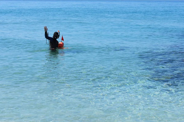 Dalgıç dalış ekipmanıyla şnorkelle yüzüyor.