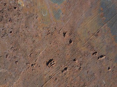 Pas rengi demir yüzey arkaplanı zaman ve aşınmayla oluşan delikler