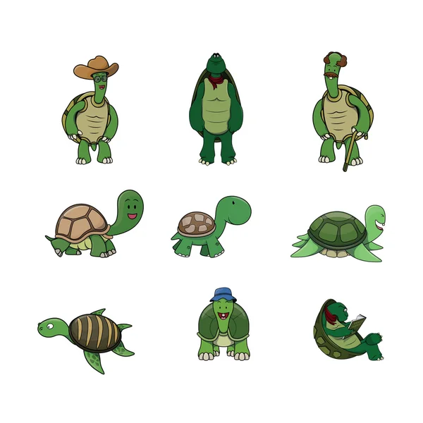 Turtle illustration design collection — Stock Vector