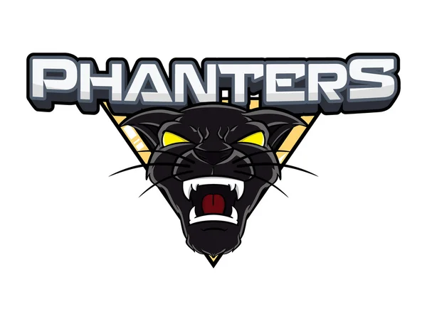 Afbeelding ontwerp van de banner van de Panthers — Stockvector