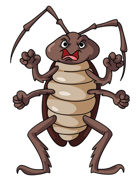 바퀴벌레 — 스톡 벡터