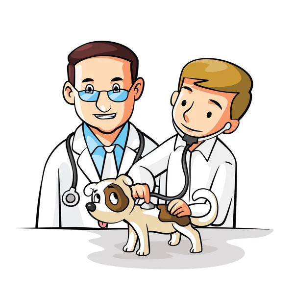 Pet Dokter bersama-sama - Stok Vektor