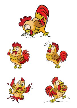 Komik karikatür tavuklar