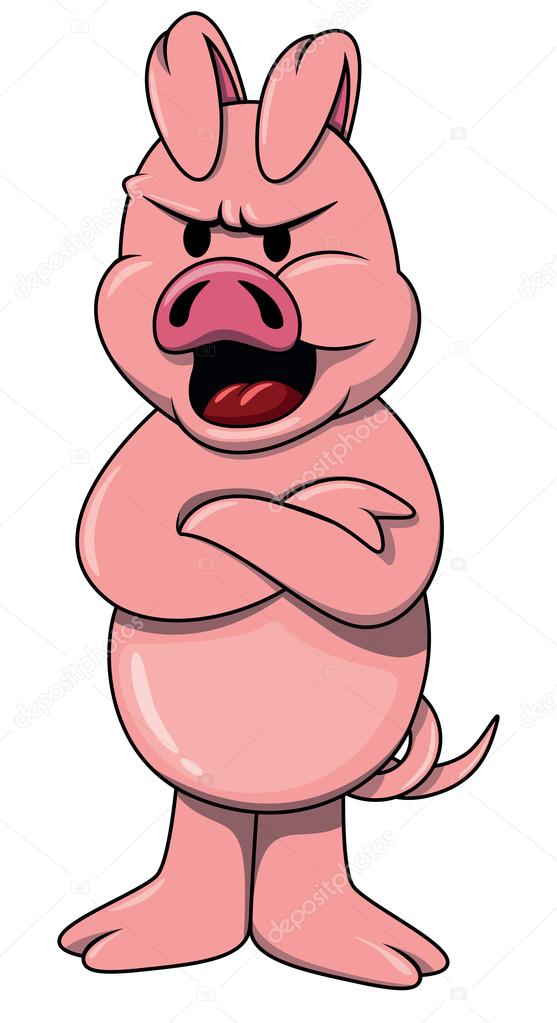 cartoon angry pig on white