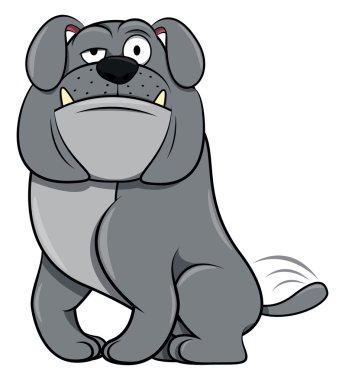 Bulldog sitting on white