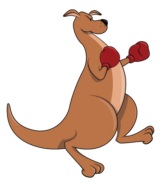 Kangaroo boxer — Stock Vector