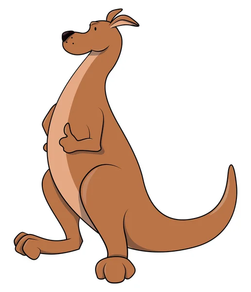 Kangaroo cartoon — Stock Vector