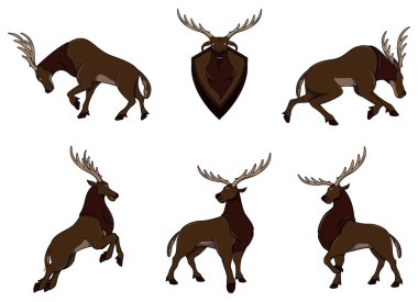 Deer collection on white