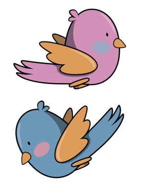 beyaz üzerine komik kuşlar