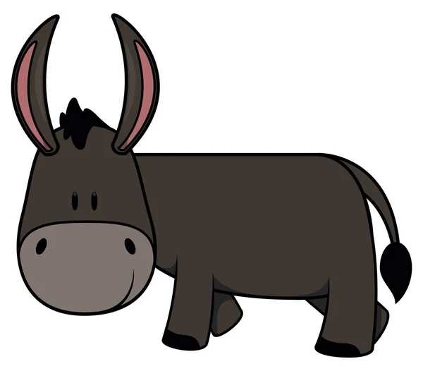 Baby donkey — Stock Vector