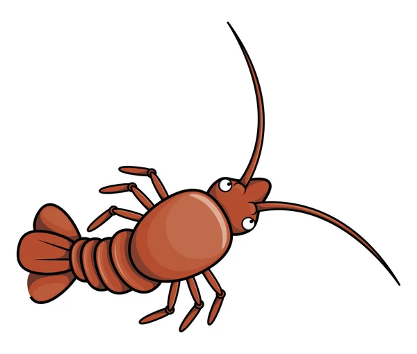 Cartoon Lobster  on white — Stock Vector