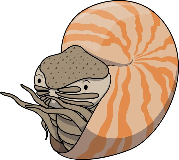 Caricature animalière Nautilus — Image vectorielle