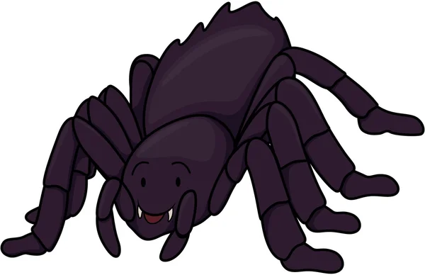 Tarantule — Stockový vektor