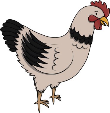 Tavuk hayvan karikatür çizimi