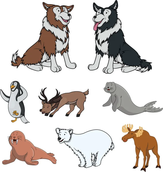 Arctic animal cartoon ilustração —  Vetores de Stock