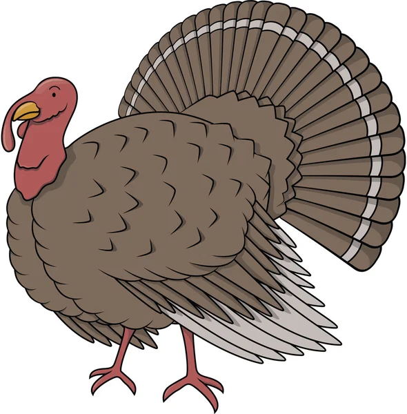 Turecko ptáka kreslený obrázek — Stockový vektor