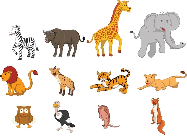 Vadon élő állatok safari illusztráció vicces rajzfilm design — Stock Vector