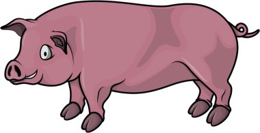 domuz karikatür çizimi