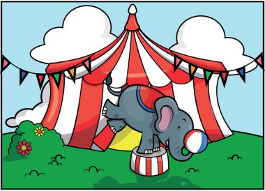 Elephant circus attraction festival
