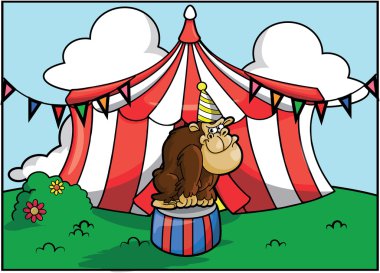 Goril sirk cazibe Festivali