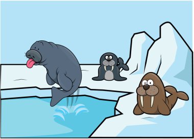 Kutup minatte illüstrasyon