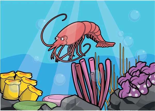 Shrimp underwater scenery illustration design — Stock Vector