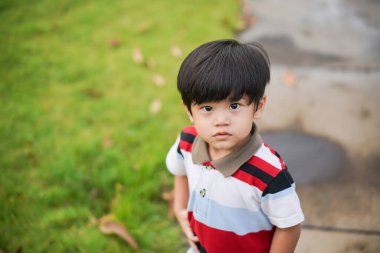 Oyun parkında oynayan ve rahatlayan Asyalı genç çocuk, masum çocuk portresi. Yakışıklı Asyalı çocuk kameraya bakıyor ve gülümsüyor. Fotoğraf için güzel bir doğası var..