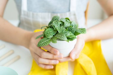 Çok güzel bir Sinir Tesisi 'ni fotokopi cihazıyla donatan bir kadın. Mozaik Sinir Tesisi bir evde dekorasyon için küçük bir fabrikadır..
