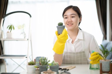 Neşeli mutlu Asyalı kadın odaya küçük bir saksı dikiyor, küçük canavar ağacını yeni çömleğe yerleştiriyor. Asyalı kız eve dekoratif bitki dikiyor..