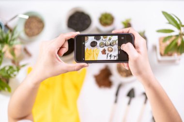Mutlu Asyalı kadın ev bitkileri dikiyor ve akıllı telefon kullanarak küçük bir ev bitkisi ve kaktüsün fotoğrafını çekiyor. Asyalı kız, küçük bir dekorasyon bitkisinin fotoğrafını çekmeyi seviyor..
