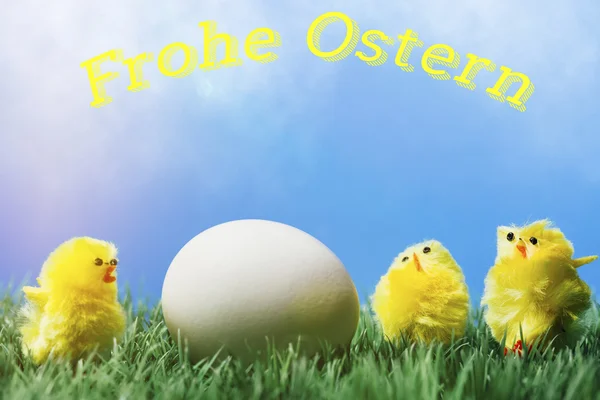 독일어 부활절 인사말 텍스트; 계란을 둘러싼 병아리의 그룹 — 스톡 사진