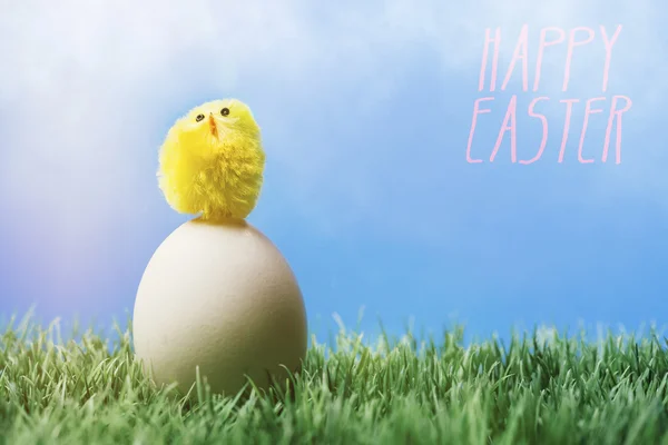 English easter greeting text; Chick standing egg — Stock Photo, Image