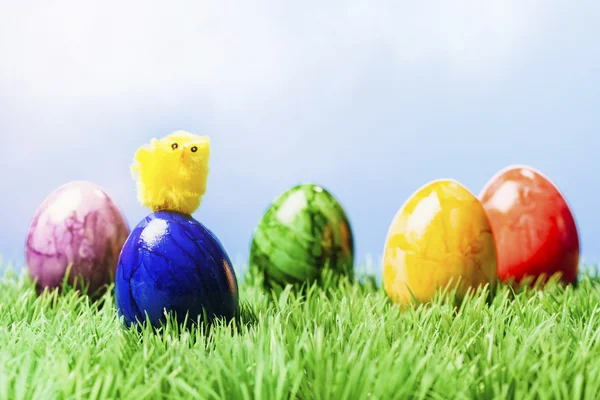 Pequeño pollito en huevo de Pascua pintado, hierba y fondo azul —  Fotos de Stock