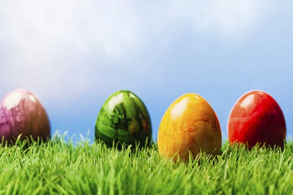 Cuatro huevos de Pascua pintados en hierba, fondo azul —  Fotos de Stock