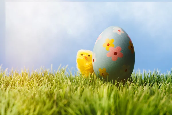 Blue decorative easter egg and a chicken in a row — 图库照片