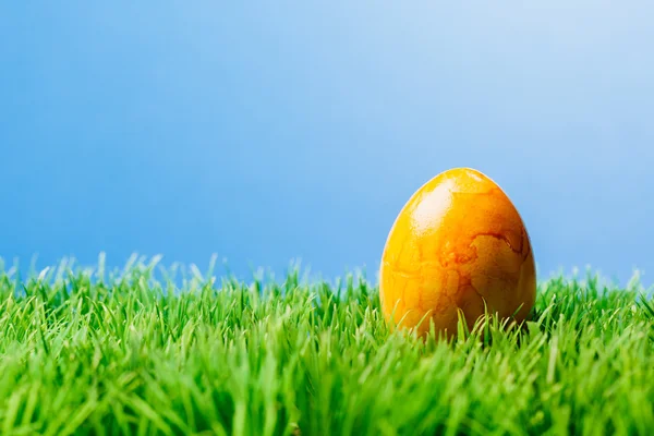 Ovo de Páscoa amarelo na grama, fundo azul — Fotografia de Stock