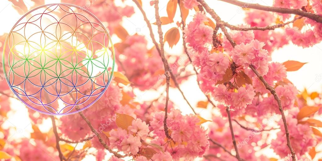 Antique symbol flower of life, spring blossom background