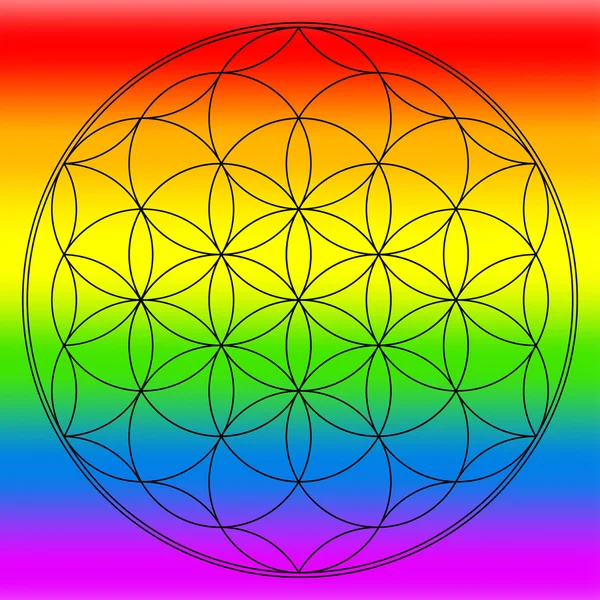 Flower of life, buddhism chakra illustration — Stock Photo, Image