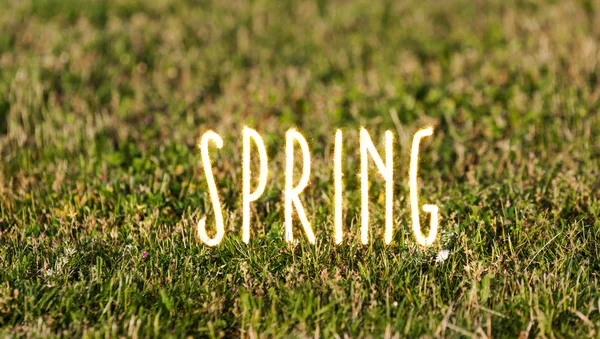 Palavras de primavera em letras espumantes em gras verdes — Fotografia de Stock