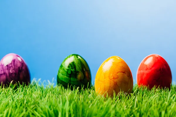 Quatre œufs de Pâques peints dans l'herbe, fond bleu — Photo